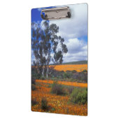 Frühlingsblumen in Namaqualand, Südafrika Klemmbrett (Links)