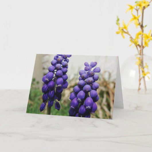 Frühlingsblumen Karte (Gelbe Blume)