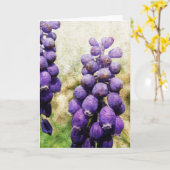 Frühlingsblumen Karte (Gelbe Blume)