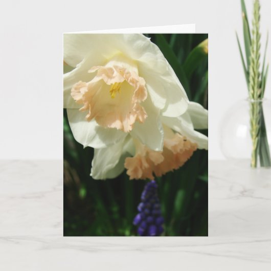 Frühlingsblumen Karte (Vorderseite)