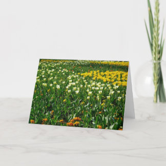 Frühlingsblumen Karte