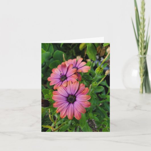 Frühlingsblumen Karte (Vorderseite)