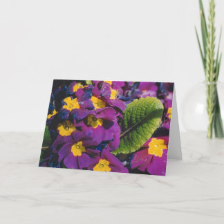 Frühlingsblumen Karte