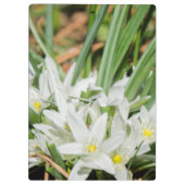 Frühlingsblumen Klemmbrett (Rückseite)