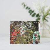 Frühlingsblumen, Klosterwächter - Nepal Postca Postkarte (Stehend Vorderseite)