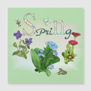 Frühlingsblumen mit Frosch Magnetkarte