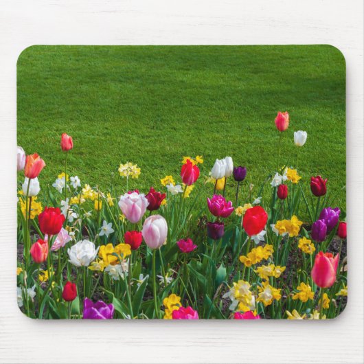 Frühlingsblumen Mousepad (Vorne)