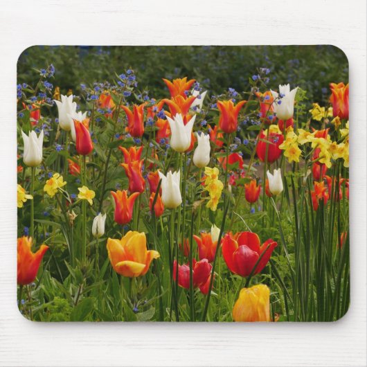 Frühlingsblumen Mousepad (Vorne)