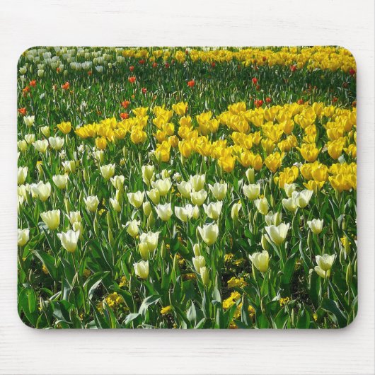 Frühlingsblumen Mousepad (Vorne)