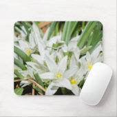 Frühlingsblumen Mousepad (Mit Mouse)