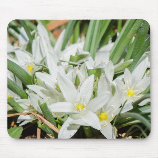 Frühlingsblumen Mousepad (Vorne)
