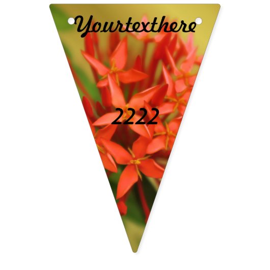 Frühlingsblumen, Oster, Frühling, Natur, Orange Wimpelkette (Zweite Fahne)