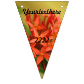 Frühlingsblumen, Oster, Frühling, Natur, Orange Wimpelkette (Erste Fahne)