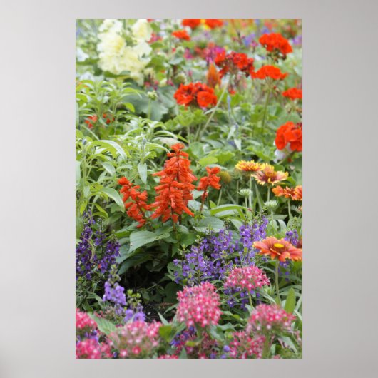 Frühlingsblumen Poster (Vorne)
