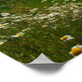 Frühlingsblumen Poster (Ecke)