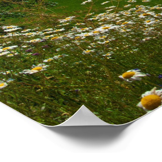 Frühlingsblumen Poster (Ecke)