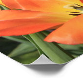 Frühlingsblumen Poster (Ecke)