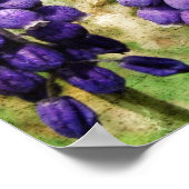 Frühlingsblumen Poster (Ecke)