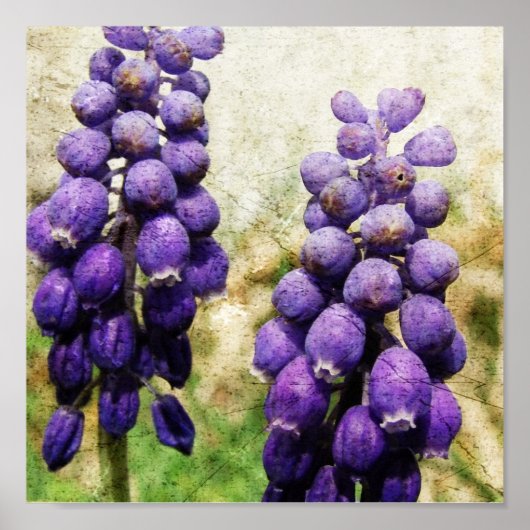 Frühlingsblumen Poster (Vorne)