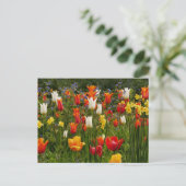 Frühlingsblumen Postkarte (Stehend Vorderseite)