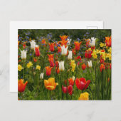 Frühlingsblumen Postkarte (Vorne/Hinten)