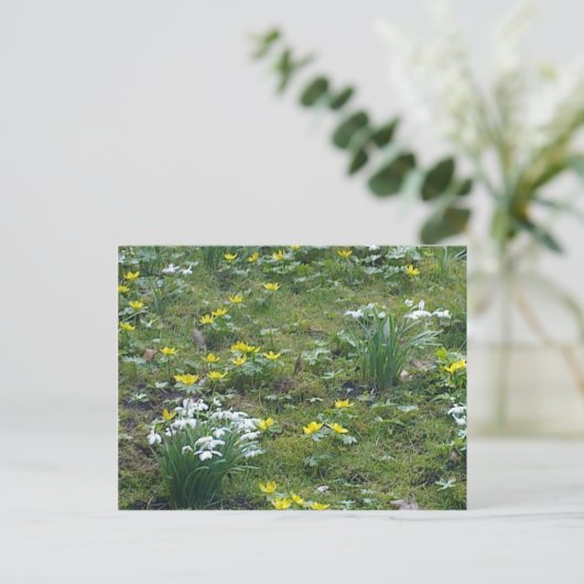 Frühlingsblumen Postkarte (Stehend Vorderseite)