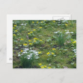 Frühlingsblumen Postkarte (Vorne/Hinten)