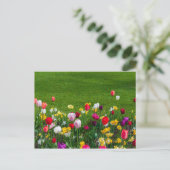 Frühlingsblumen Postkarte (Stehend Vorderseite)