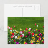 Frühlingsblumen Postkarte (Vorne/Hinten)