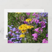 Frühlingsblumen Postkarte (Vorne/Hinten)