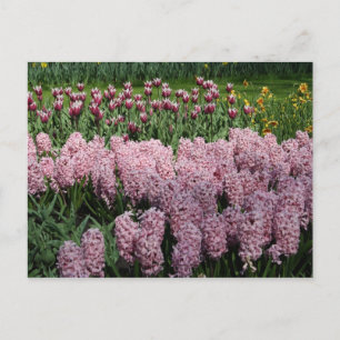 Frühlingsblumen Postkarte