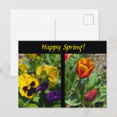 Frühlingsblumen Postkarte (Vorne/Hinten)