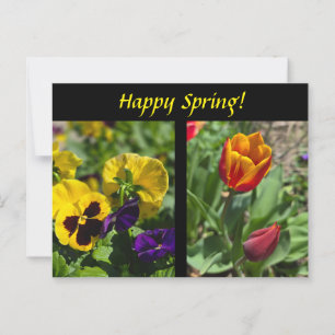 Frühlingsblumen Postkarte