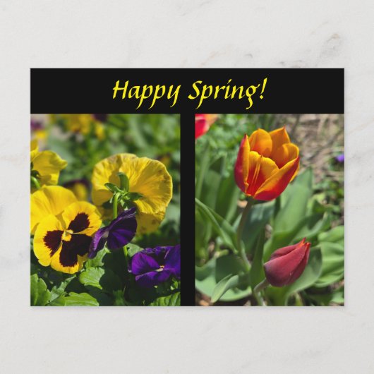 Frühlingsblumen Postkarte (Vorderseite)