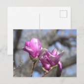 Frühlingsblumen Postkarte (Vorne/Hinten)