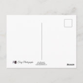 Frühlingsblumen Postkarte (Rückseite)