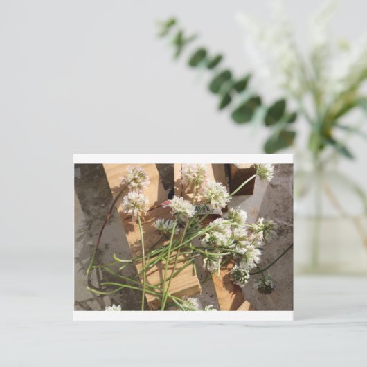 Frühlingsblumen Postkarte (Stehend Vorderseite)