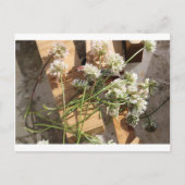 Frühlingsblumen Postkarte (Vorderseite)