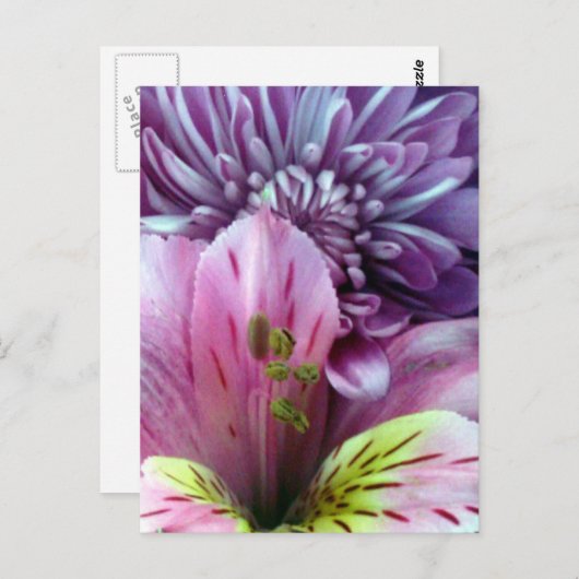 Frühlingsblumen Postkarte (Vorne/Hinten)