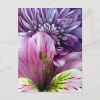 Frühlingsblumen Postkarte