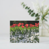 Frühlingsblumen Postkarte (Stehend Vorderseite)