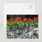 Frühlingsblumen Postkarte (Vorne/Hinten)