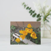 Frühlingsblumen Postkarte (Stehend Vorderseite)