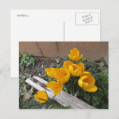 Frühlingsblumen Postkarte (Vorne/Hinten)