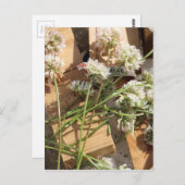 Frühlingsblumen Postkarte (Vorne/Hinten)