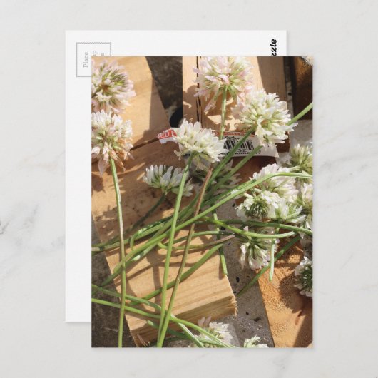 Frühlingsblumen Postkarte (Vorne/Hinten)