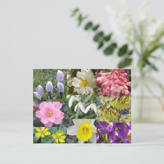 Frühlingsblumen Postkarte (Stehend Vorderseite)