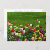 Frühlingsblumen Postkarte (Vorne/Hinten)