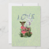 Frühlingsblumen & Schmetterlingszuchten Einladung (Rückseite)