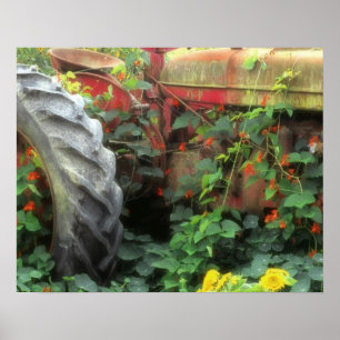 Frühlingsblumen schmücken einen alten Traktor. Poster